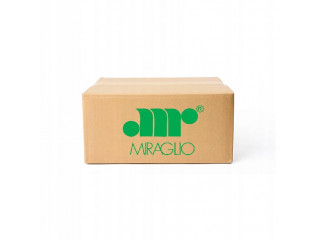 Zámek zadních dveří  939AXA1B, 939AXB1B 46559072 Miraglio  