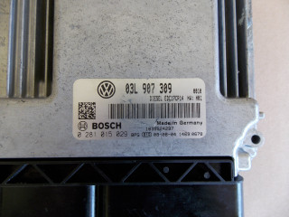 Passat b6 2.0 tdi cba komupter модуль управления 03l907309  03L907309, 0281015029  Volkswagen  