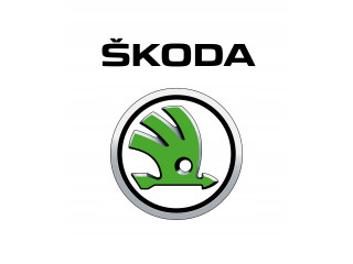 LOGO ZNACZEK EMBLEMAT SKODA ХРОМ      3V0853621A     