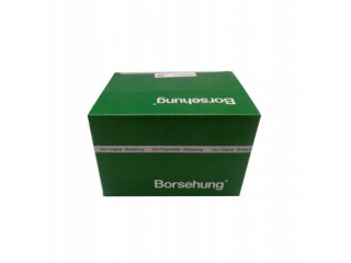 Borsehung b18666 vaccum насос  06H145100F, 06H145100L 06H145100AB     