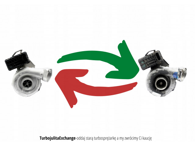 Turbodmychadlo Turbosprężarka 49335-01950 Jaguar Land Rover 2.0D        