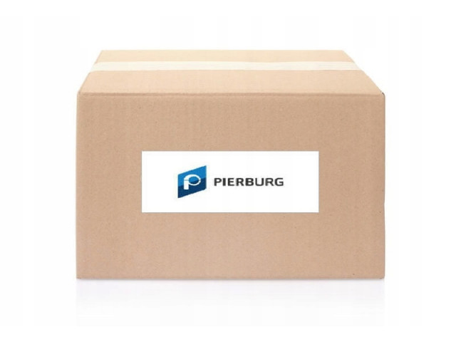PIERBURG Pompa vacum  7.02551.09.0, 702551090    