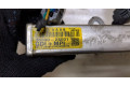 Форсунка топливная  Hyundai Santa Fe 2020-    353902S001, 353102S001     