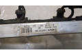 Форсунка топливная  Opel Agila 2000-2007    24420543, 24420542     
