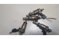 Форсунка топливная  Audi A4 (B8) 2011-2015    06H133317C, 06H906036N     