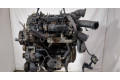 Клапанная крышка двигателя ДВС  KIA Sorento 2009-2014 2.2     
