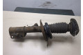Стойка амортизатора  Renault Laguna 3 2009-  , Renault   ,   009- 2, 2  дизель, дизель
