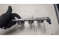 Форсунка топливная  Ford EcoSport 2012-2016    GM5G9H487HC     