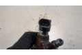 Форсунка топливная  Citroen C4 Picasso 2006-2013    9658194180     