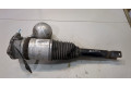 Стойка амортизатора  Volkswagen Phaeton 2002-2010 3D0616002N     