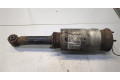 Стойка амортизатора  Land Rover Range Rover Sport 2009-2013 LR019994     