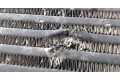 Интеркулер  Ford S-Max 2006-2010 2.0  1742060, 6G919L440FE    