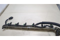 Форсунка топливная  Chevrolet Trailblazer 2001-2010    19244623, 19417779     