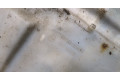 Бачок омывателя  Honda Civic 2005-2012 22024   