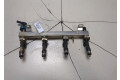 Форсунка топливная  Opel Meriva 2010-    24420543, 55572731     