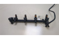 Форсунка топливная  Renault Megane 1996-2002    8200240488, 7700112519     