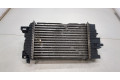 Интеркулер  Opel Meriva 2010-   13283253    