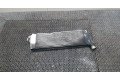 Интеркулер  Renault Scenic 2003-2009 1.9  8200700172    