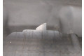 Бампер  Ford Focus 2 2008-2011 передний   1521127