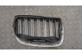 Решетка радиатора  BMW X6 E71 2007-2014          51137171395