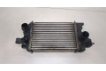 Интеркулер  Opel Meriva 2010-   13283253    