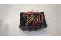 Блок предохранителей  Renault Megane 4 2016-2020      243800453R   
