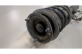 Стойка амортизатора  BMW X1 (E84) 2009-2015 31336790098, 31316855239     