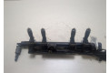 Форсунка топливная  Renault Twingo 2007-2011    8200506653, 8200465550     