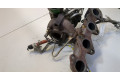  Турбина  Renault Scenic 2003-2009             7701477495