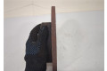 Диск тормозной  Volkswagen Golf 5 2003-2009 2.0  задний     1K0615601AC      