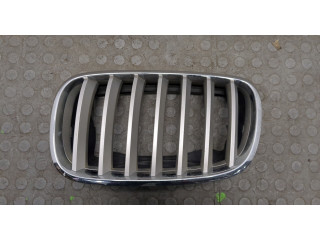 Решетка радиатора  BMW X6 E71 2007-2014          51137171395