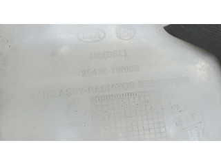 Бачок расширительный  KIA Pride 2011-2017 254311W000    1.1
