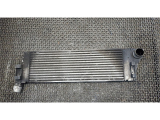 Интеркулер  Renault Scenic 2003-2009 1.9  8200700172    