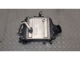 Интеркулер  Mercedes E W213   A6540104604    