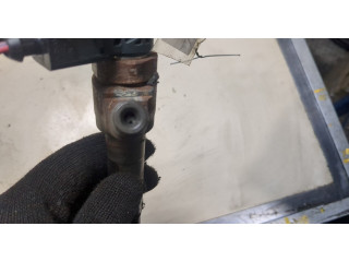 Форсунка топливная  Volkswagen Passat 7 2010-2015 Европа    0445110369     