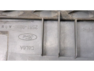 Решетка радиатора  Ford Fiesta 2001-2007          1.25 