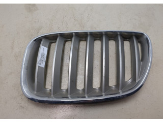 Решетка радиатора  BMW X5 E53 2000-2007          51137113733, 7113733