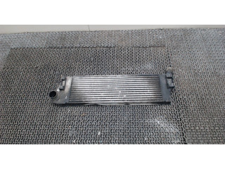 Интеркулер  Renault Scenic 2003-2009 1.9  8200700172    