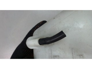 Бачок расширительный  KIA Carnival 2006-2014 254304D700    3.8
