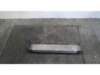 Интеркулер  Renault Scenic 2009-2012 1.4  144960006r    