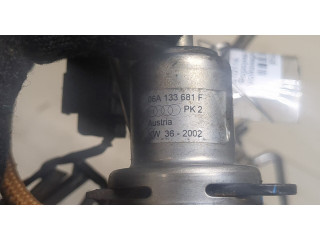 Форсунка топливная  Volkswagen Sharan 2000-2010    06A133681F, 022906031J     