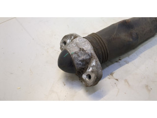 Стойка амортизатора  Volkswagen ID.4 1EA513049AM     