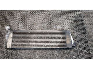 Интеркулер  Renault Scenic 2003-2009 1.9  8200700172    