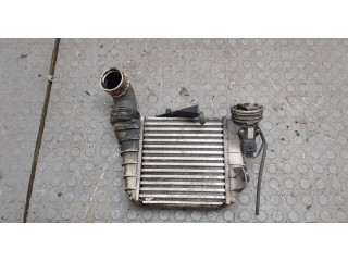 Интеркулер  Skoda Fabia 2004-2007 1.9      