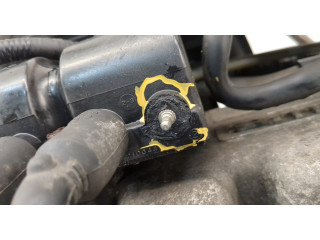 Форсунка топливная  Daewoo Matiz 1998-2016    96518620, 96325255     