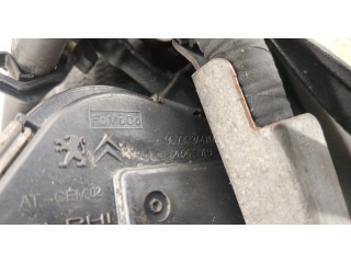 Форсунка топливная  Citroen Berlingo 2012-2022    1980S5     