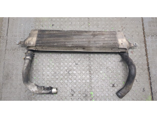 Интеркулер  Nissan Qashqai 2006-2013 2.0  14461JD50A    