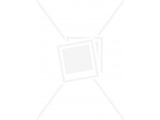 Диск тормозной  Volkswagen Polo 2005-2009 1.2, 1.2  задний , Volkswagen  ,  2005-2009       