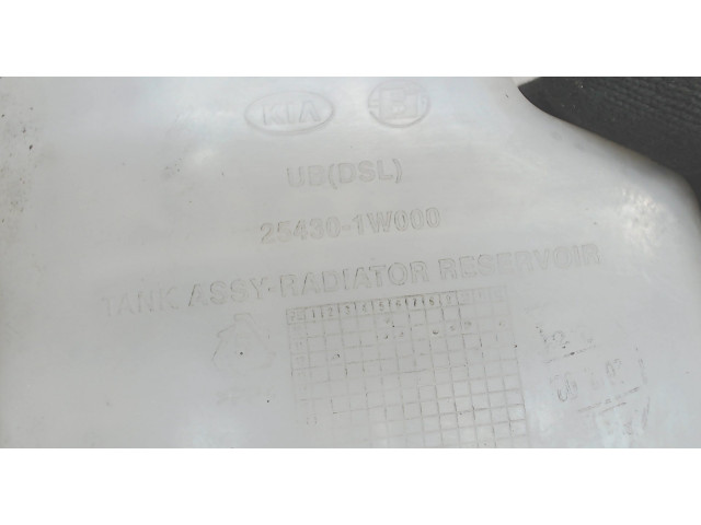 Бачок расширительный  KIA Pride 2011-2017 254311W000    1.1