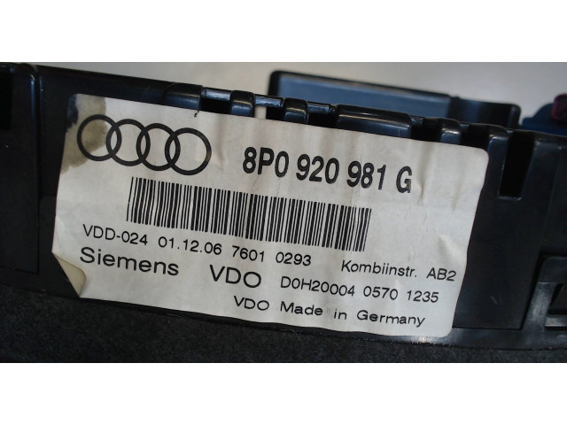 Панель приборов  Audi A3 (8PA) 2004-2008       8P090981G     2  Бензин